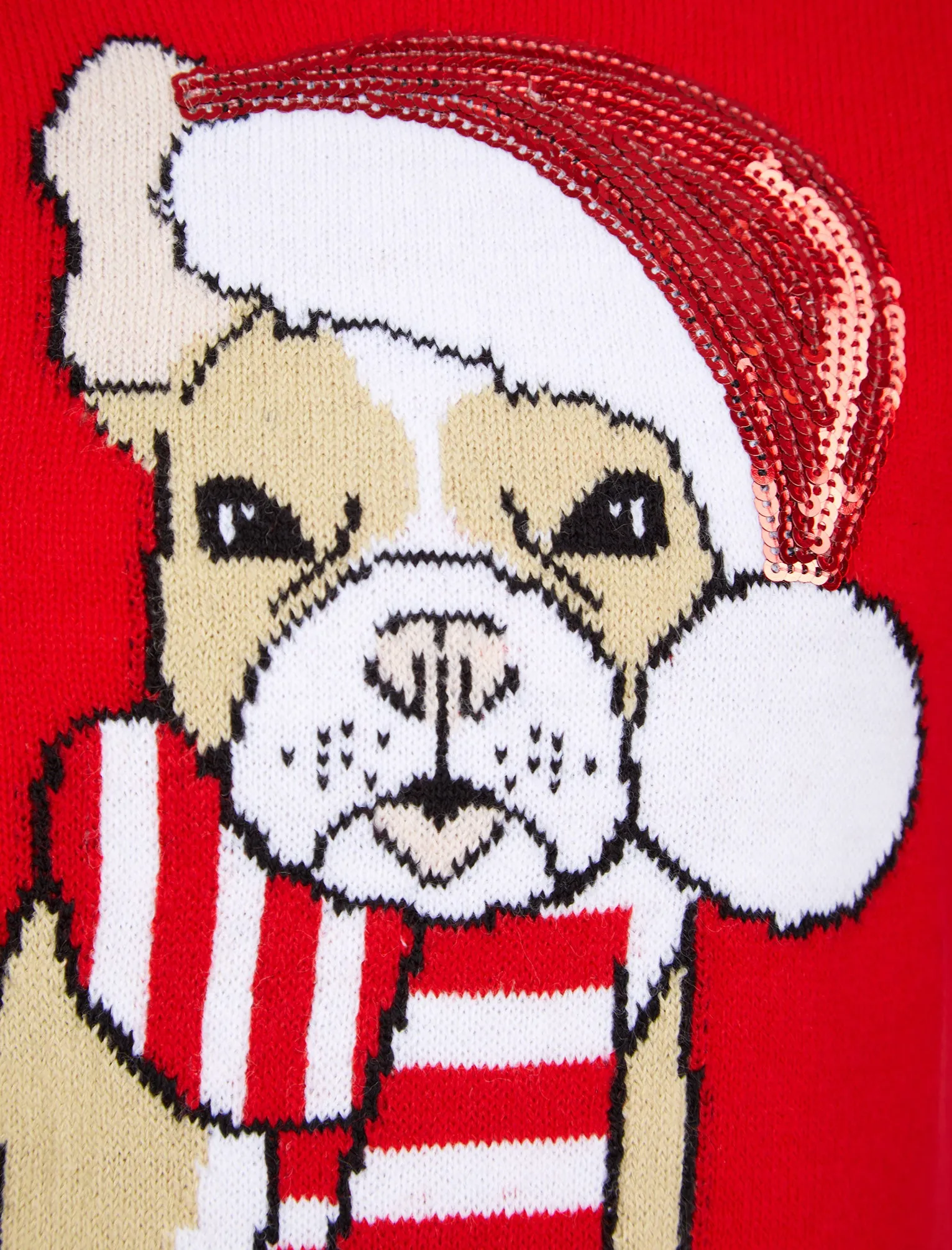 Girl's Santa Dog Novelty Sequinned Christmas Jumper in Tokyo Red - Merry Christmas Kids (4-12yrs)