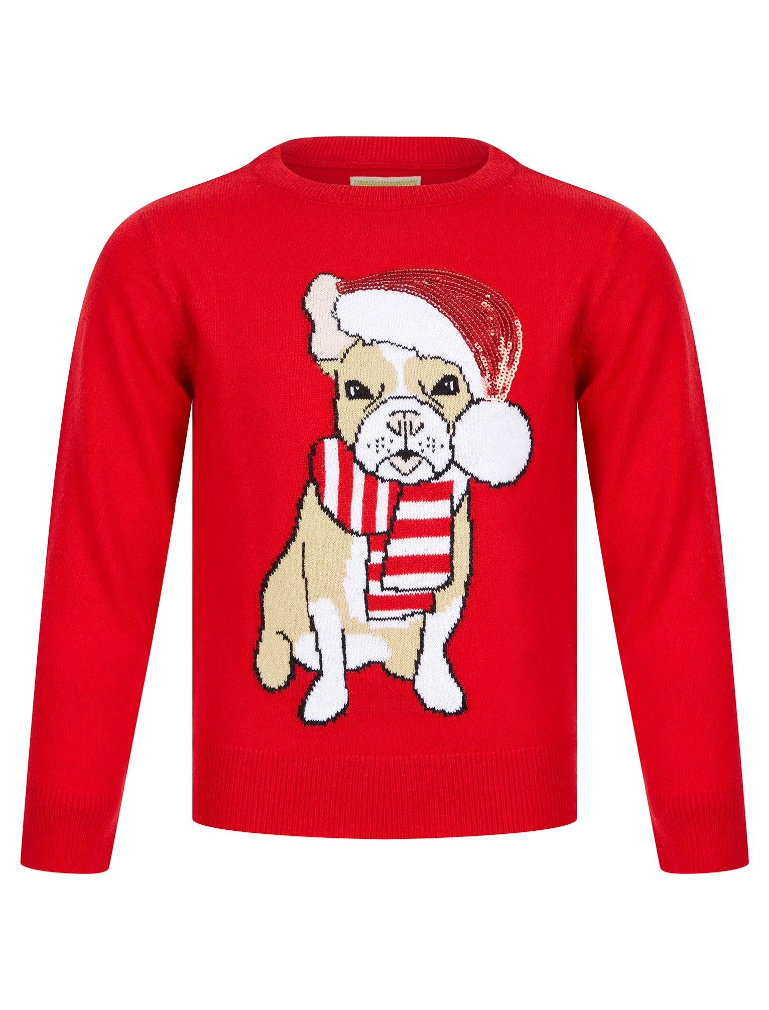 Girl's Santa Dog Novelty Sequinned Christmas Jumper in Tokyo Red - Merry Christmas Kids (4-12yrs)